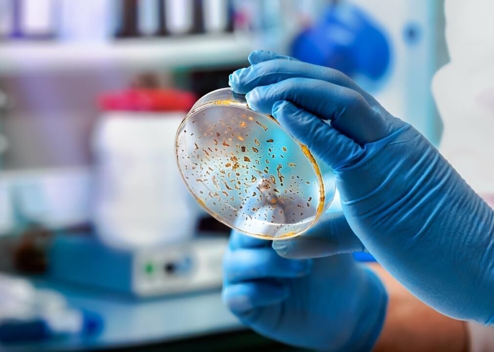 #78. Life Scientists, All Other